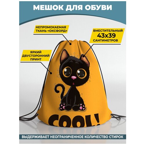 Мешок для сменной обуви Homepick 38х42 см Blackcatcool/2091/