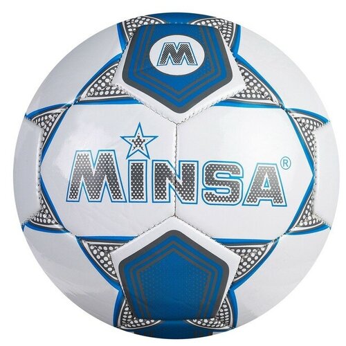 Мяч MINSA, футбольный, TPU, машинная сшивка, 32 панели, размер 5, вес 325 г, цвет белый, синий