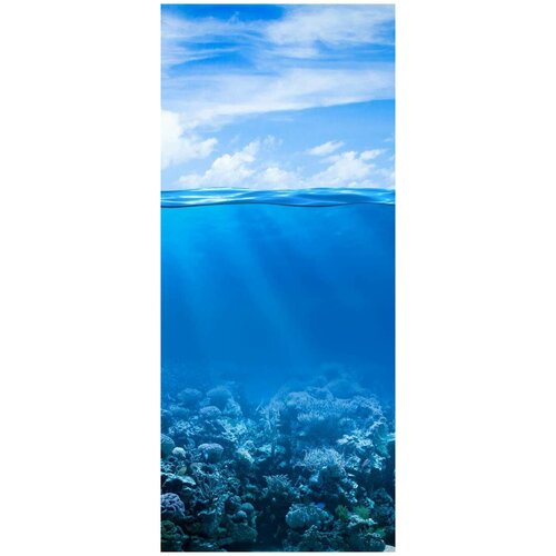 Самоклеящиеся фотообои Коралловые рифы, размер: 90x210 см