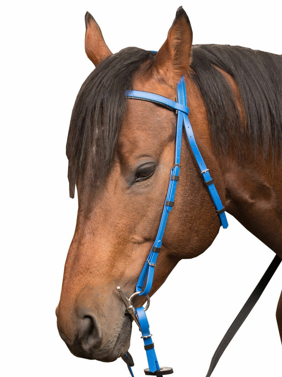 Sweet horse / Сет - оголовье + повод + мартингал для лошадей FULL - фотография № 1
