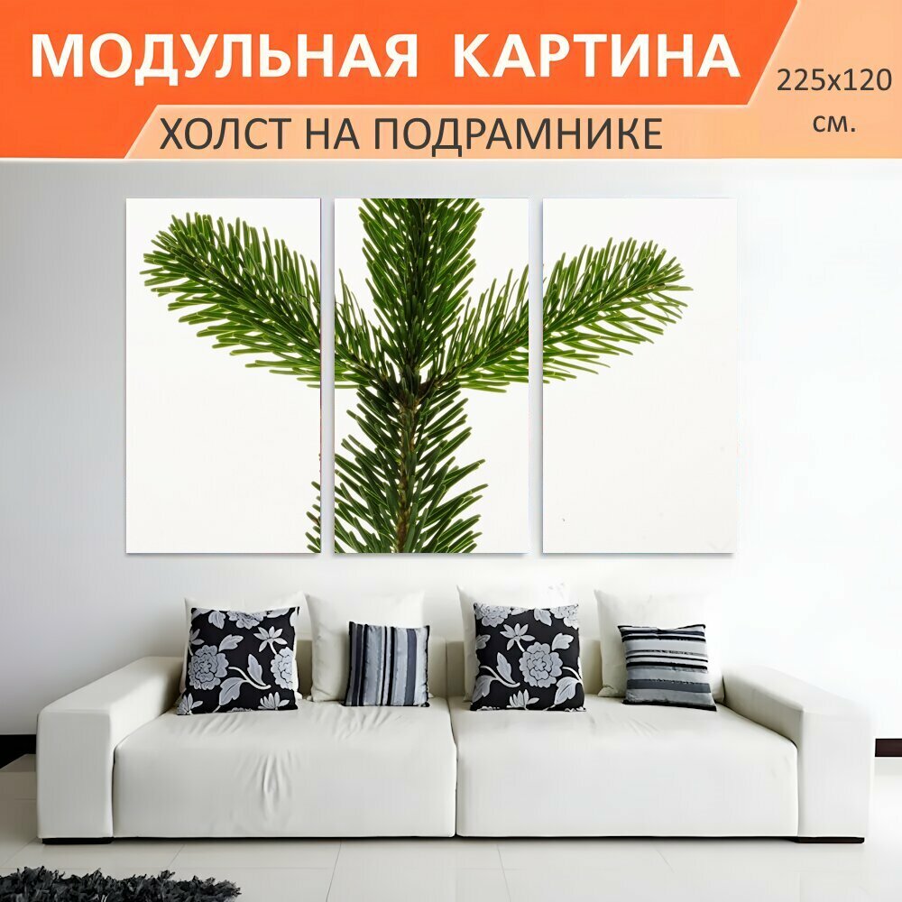 Модульная картина на холсте "Пихта нордманн, ель, рождество" триптих на подрамнике 225х120 см. для интерьера