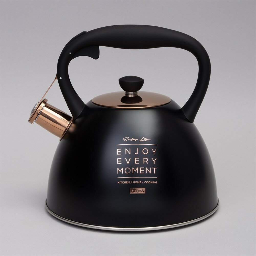 Чайник agness со свистком 30 л термоаккумулирующее дно индукция