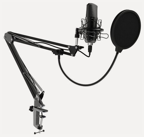 Изображение товара Студийный микрофон Ritmix RDM-169 Black