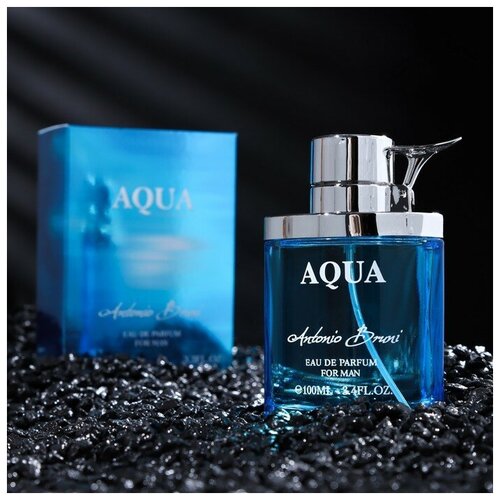 Парфюмерная вода мужская AQUA, 100 мл 9236246 парфюмерная вода мужская aqua 100 мл