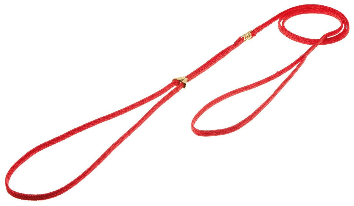 Ринговка для собак (поводок-удавка фиксирующая) для дрессировки и выставки / для малых и средних пород, Zoo One с кольцом "золото", 5 мм, красная