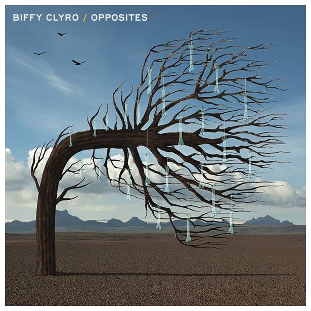 Biffy Clyro Biffy Clyro - Opposites (2 LP) WM - фото №3