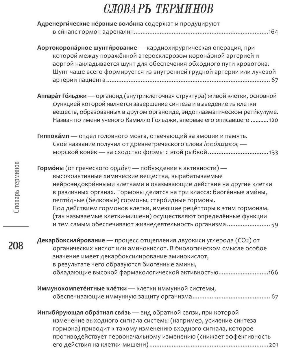 Путешествие по миру медицины: от древних времен до наших дней - фото №6