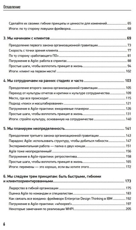 Agile для всех (Лемей Мэтт, Панин М. (переводчик)) - фото №7