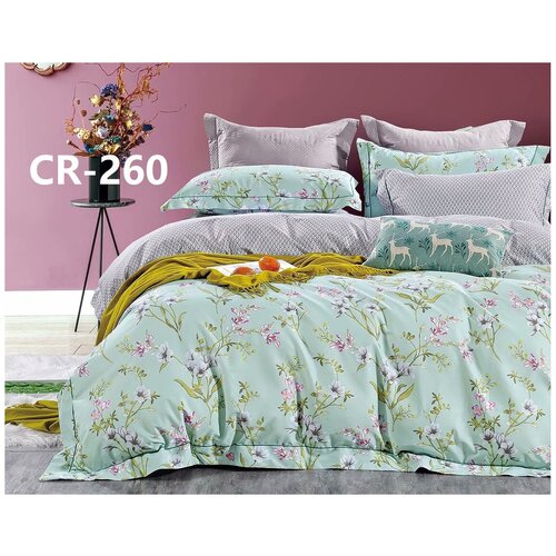 Сатиновое белье класса люкс CR-260 Retrouyt (мятный), Евро (наволочки 50x70)