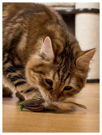Игрушка для кошек и котят Japan Premium Pet дразнилка Мышонок-летун, серия "Волшебная коробка для кошки" - фотография № 4