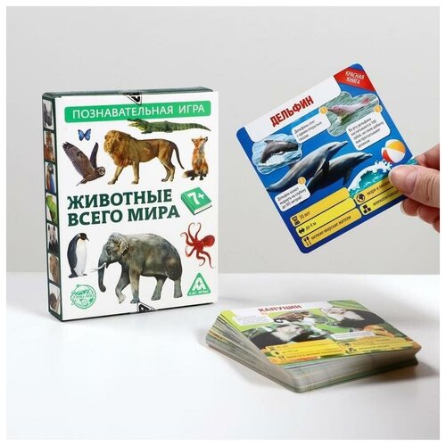 Игра-викторина Коробочка знаний. Животные всего мира, 7+