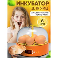 Лучшие Инкубаторы для перепелиных яиц