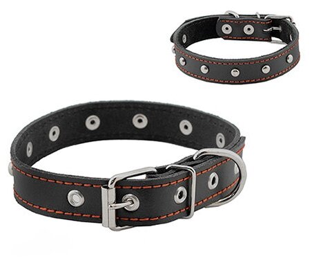 Ошейник для собак кожаный с украшениями, черный HOMEPET 35 мм 49-61 см - фотография № 4