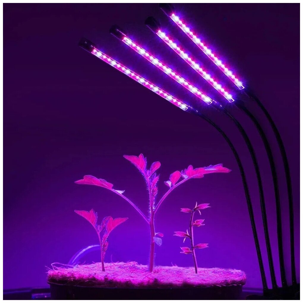 Фитолампа для растений /для рассады/, с 4-мя гибкими отводами по 9 Вт, спектры (фиолетовый, красный, синий), с таймером - фотография № 2