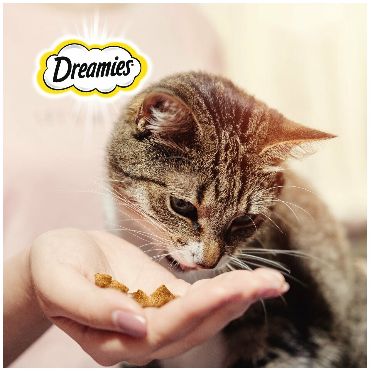 Лакомство для кошек Dreamies подушечки с уткой, 60г х 6 уп. (шоу бокс) - фотография № 14