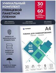 Пленка для ламинирования гелеос, А4, 60 мкм 30 шт.