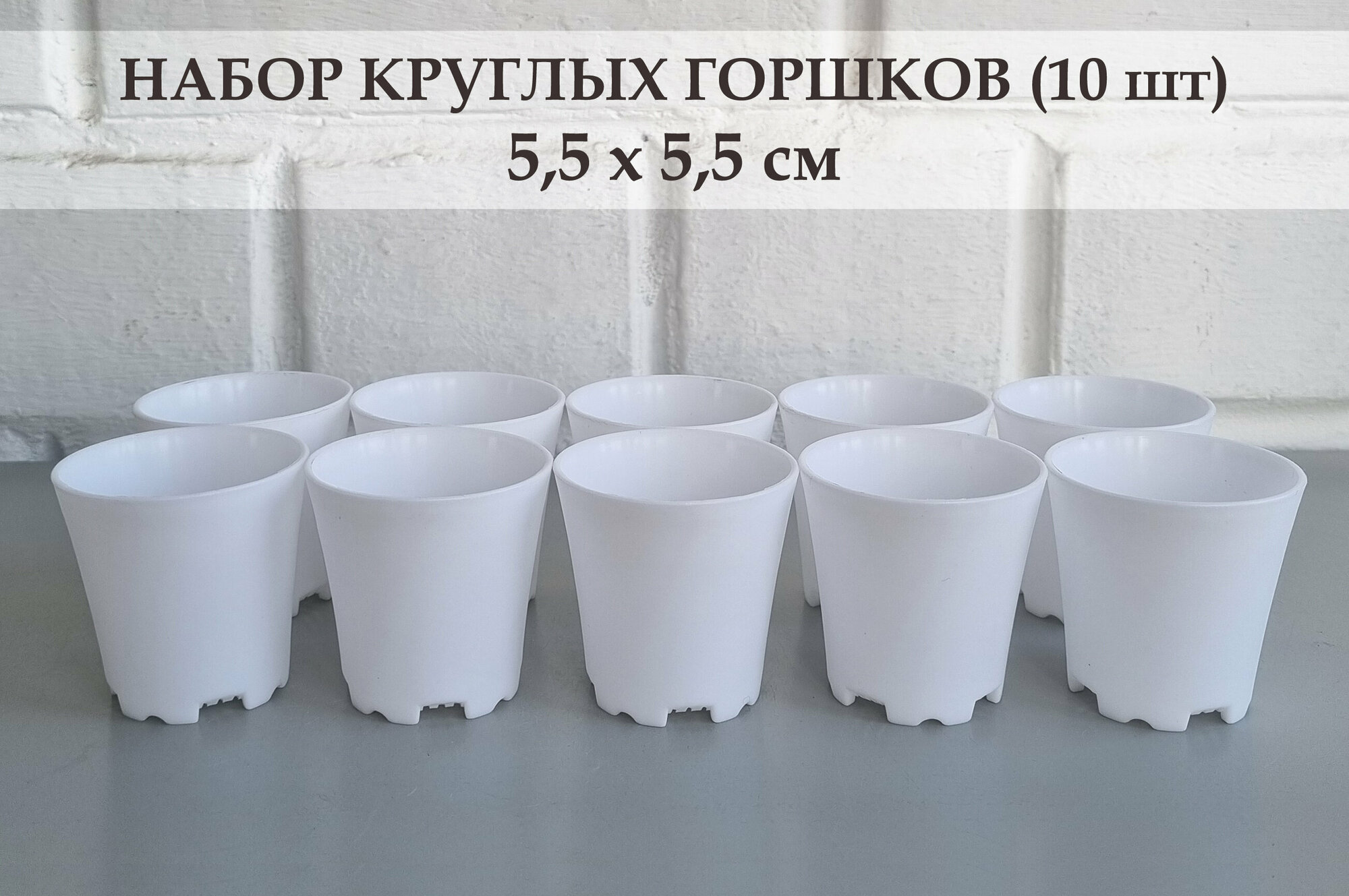 White Garden Круглые горшки для суккулентов/рассады. Размер 5,5х5,5 см. Белые. Набор из 10-ти штук