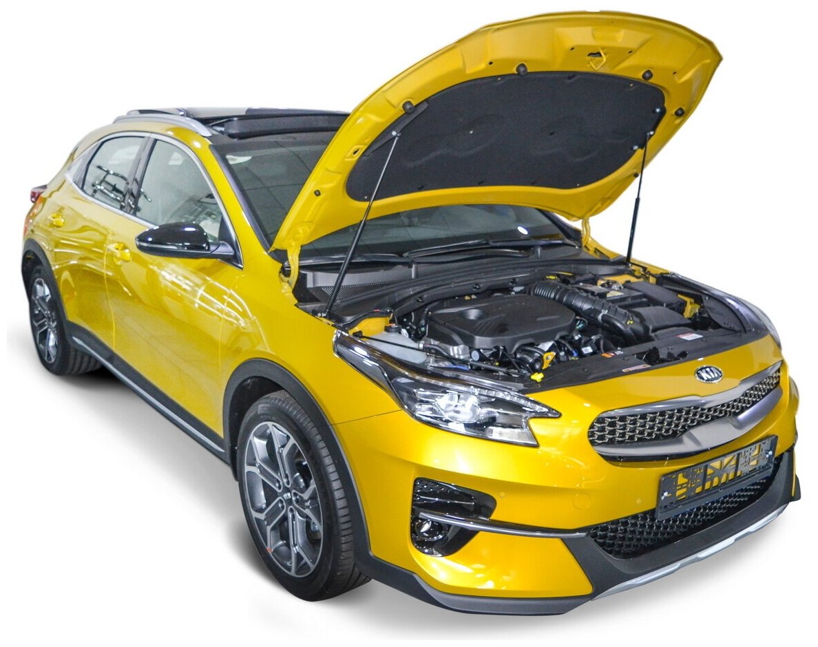 Упоры капота автоупор для Kia Ceed III 2018-н в/Xceed 2020-н в 2  UKICEE041