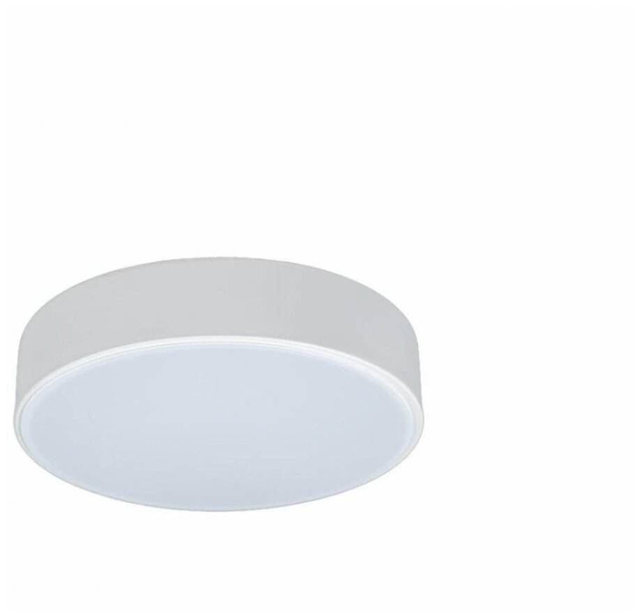 Потолочный светильник светодиодный Axel 10002/12 White "Loft IT"