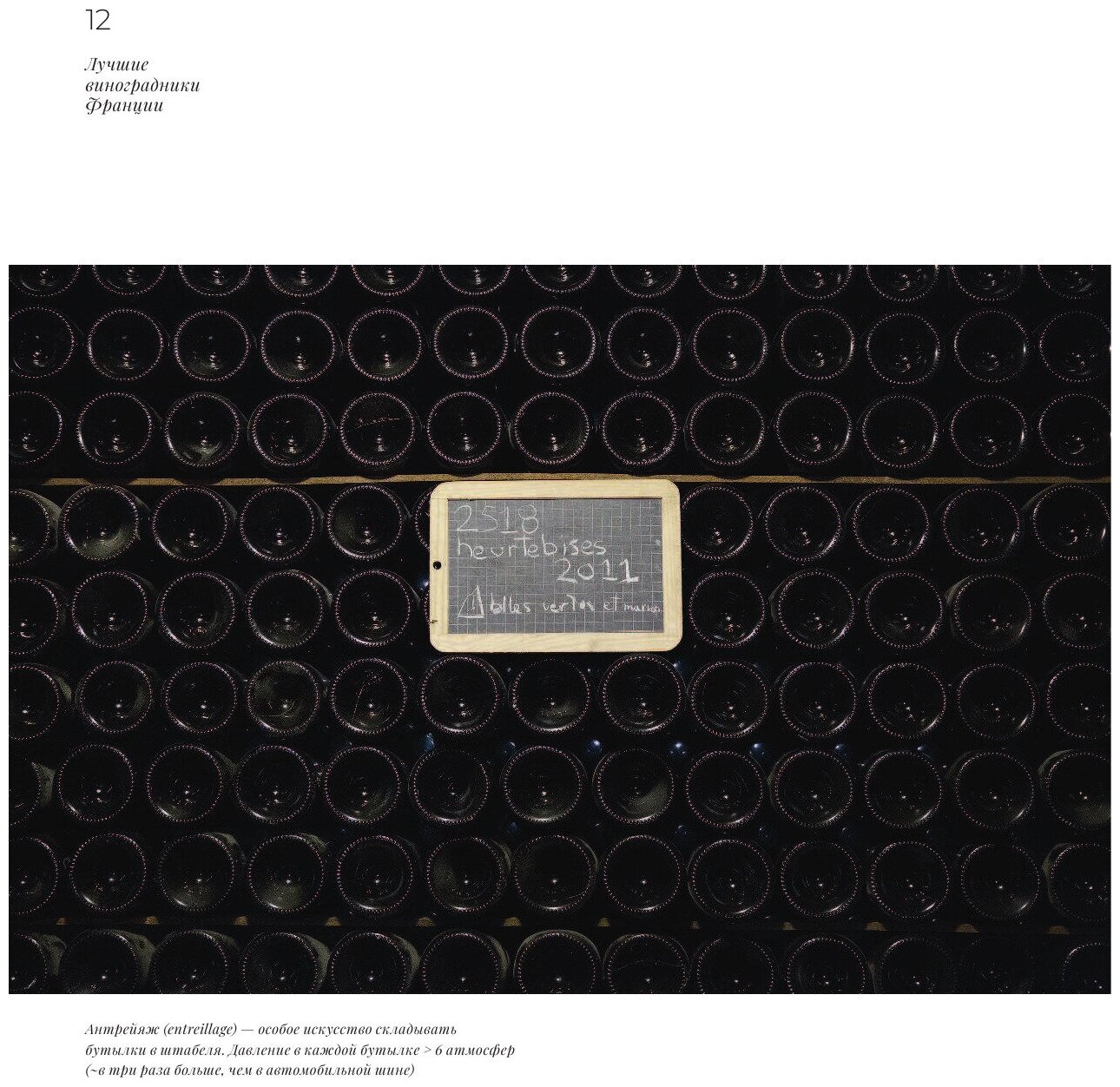 Франция. Лучшие шато и домены. Престижные винные хозяйства Бордо, Бургундии и Шампани - фото №16