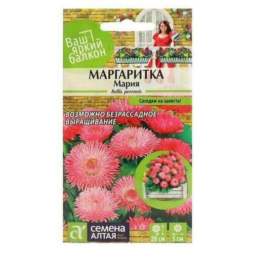 Семена цветов Семена Алтая Маргаритка Мария 0,05 г 6 упаковок семена маргаритка парео