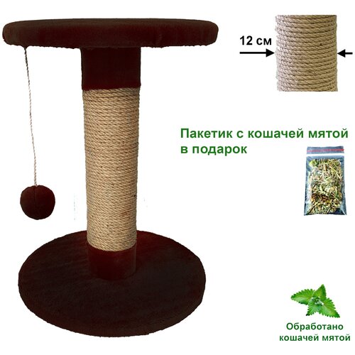 Когтеточка - столбик 