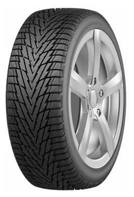 Зимняя шина HANKOOK Winter I Pike RS2 W429, 205/60/R16, 96T, шипованная [1023597] - фото №5