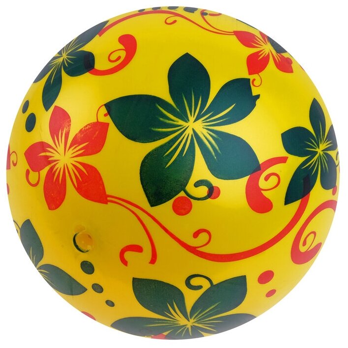 Мяч детский «Цветы», d=22 см, микс