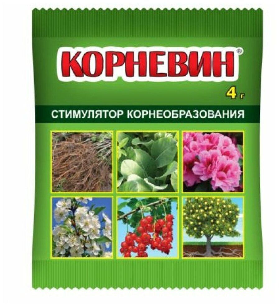 стимулятор роста Корневин 10г Ваше Хозяйство - фото №2