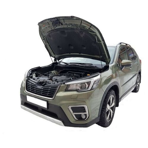 Амортизатор (упор) капота на Subaru Forester 07-04