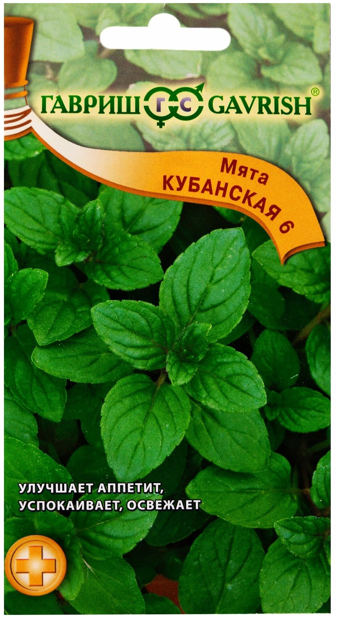 Семена Мята перечная «Кубанская»