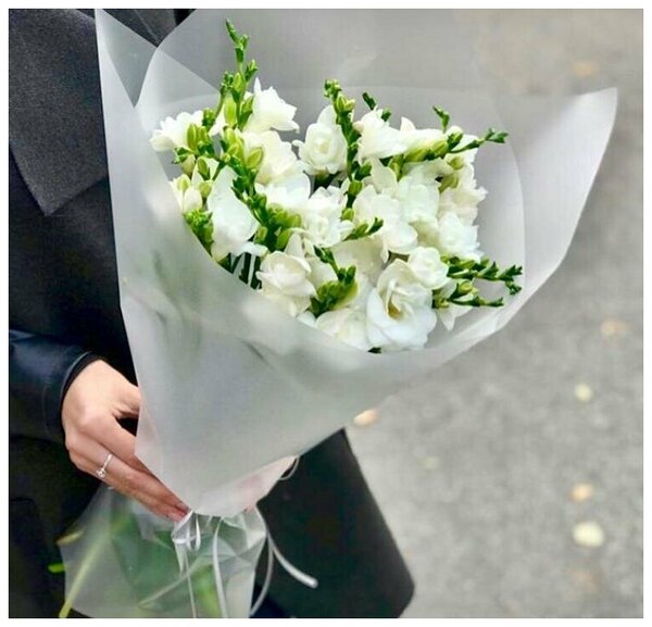 Фрезии белые цена купить цветы по штучно