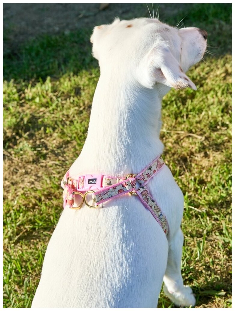 Шлейка для собак Japan Premium Pet / шлейка буржуа для собак мелких пород, цвет розовый, размер SS - фотография № 2