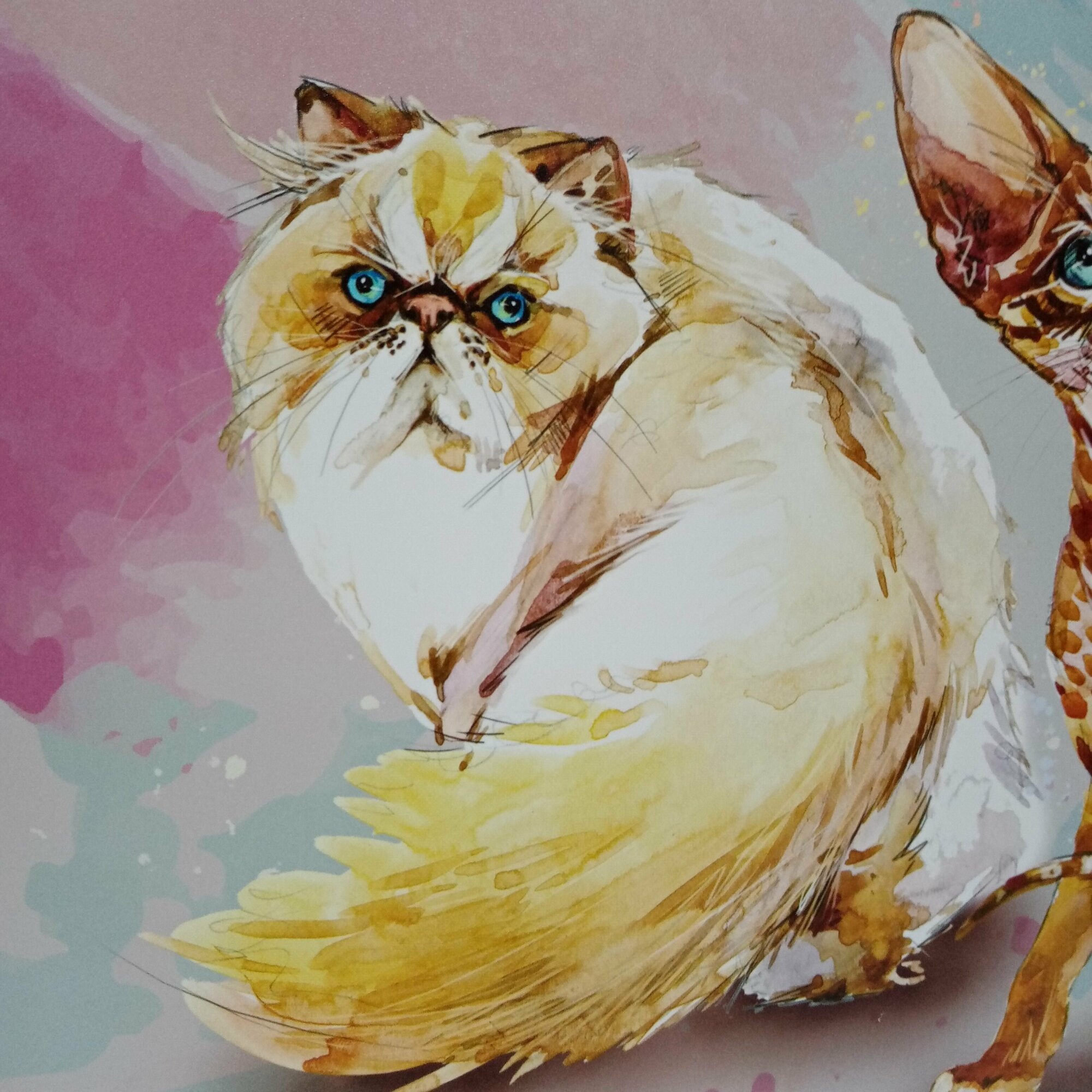 Папка для рисунков и труда, Разнообразие кошек, А3 Prof-press - фото №3