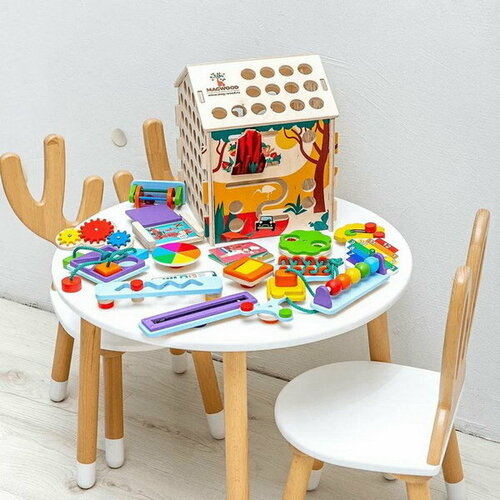 Бизидом-конструктор 