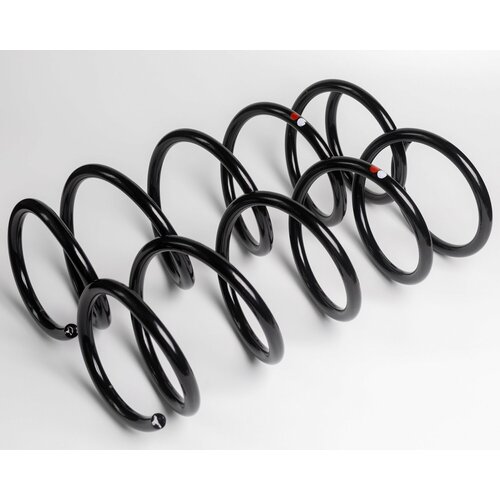 Пружина передней подвески Рено Дастер 1,6 (4*4)