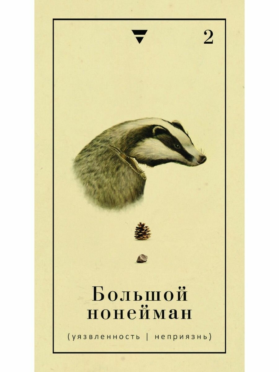 Оракул Сад Гекаты. О болезнях тела и души. 50 карт - фото №5