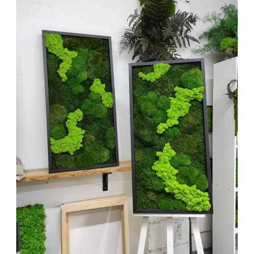 Картина из стабилизированного мха 