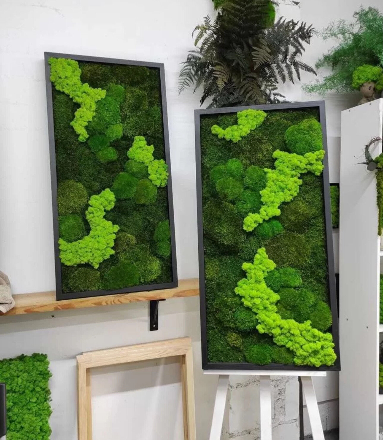 Картина из стабилизированного мха "Forest" 100x50см