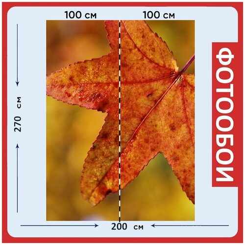 Фотообои Оранжевый клон листья 200x270 см флизелиновыена стену 2940₽
