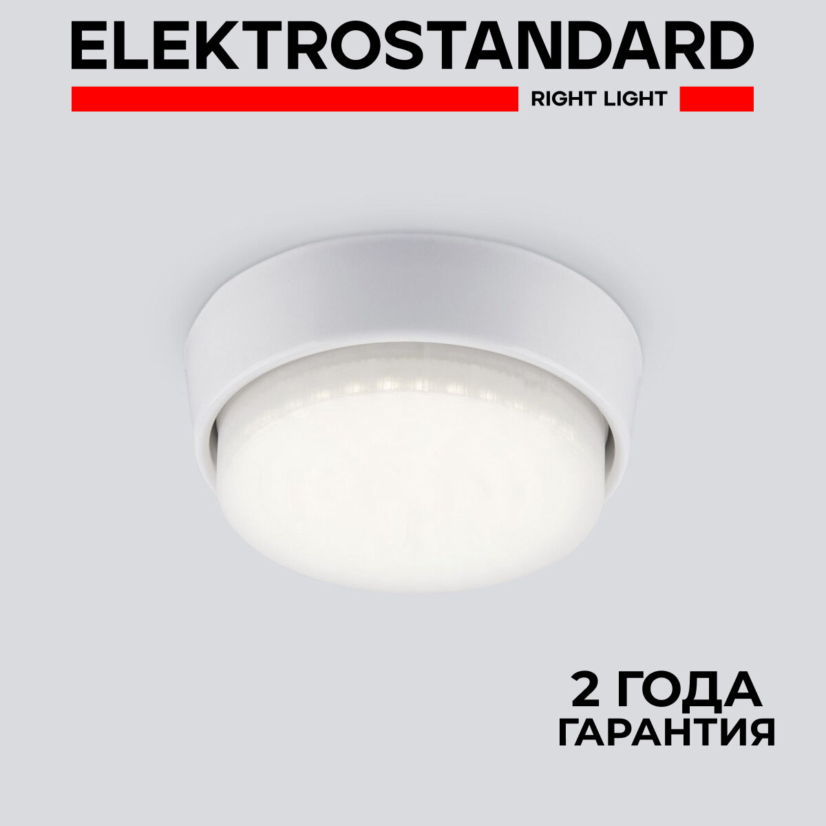 Накладной потолочный светильник Elektrostandard 1037 GX53 WH белый