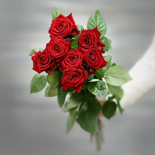 Изображение товара Букет живых цветов из 7 красных роз (Россия) с лентой 60 см от Букет Маркет