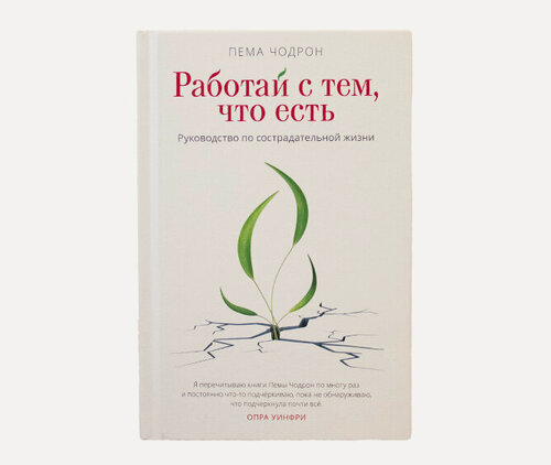 Изображение товара Пема Чодрон. Работай с тем, что есть. Руководство по сострадательной жизни