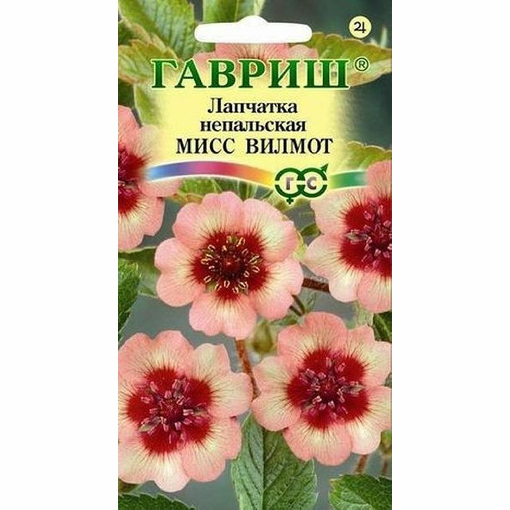 Семена Лапчатка непальская Мисс Вильмотт многолетние Гавриш 1 пачка - 0.02г семян