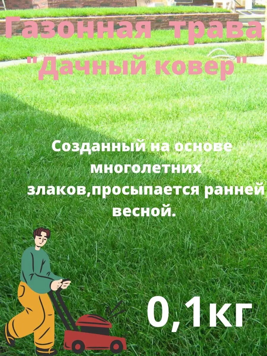 Газонная Трава "Дачный Ковер 100 грамм