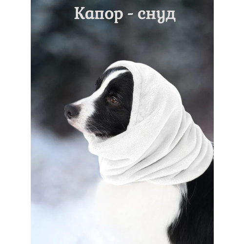 Капор снуд для собак, демисезонный, тёплый, р. M белый (обхват головы до 40 см)
