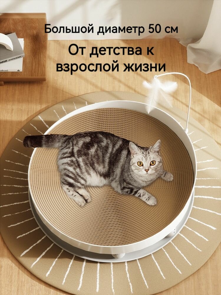 Картинки Когтеточка для кошек картонная, лежанка для кошек 50*9 С кошачьими игрушками