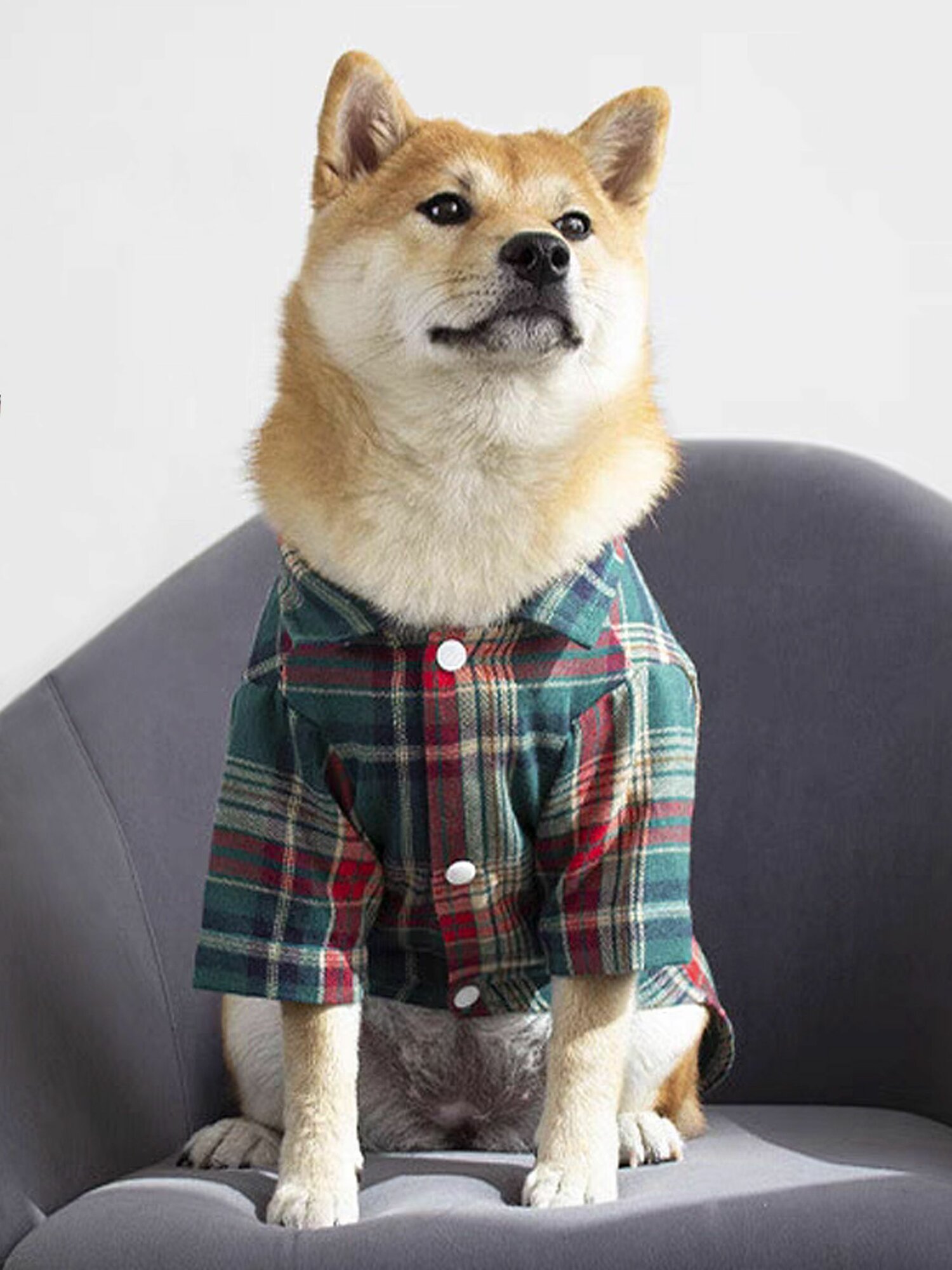 Рубашка "Клетка" для собак средних пород, цвет зеленый, размер 4XL, Rexy crew