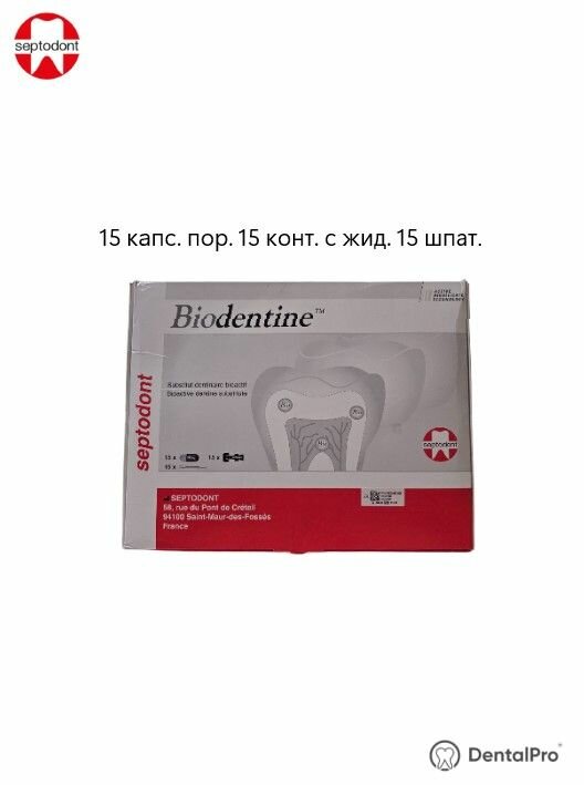 Биодентин - Biodentine, Septodont (15 капсул порошка + 15 капсул жидкости + 15 шпателей)