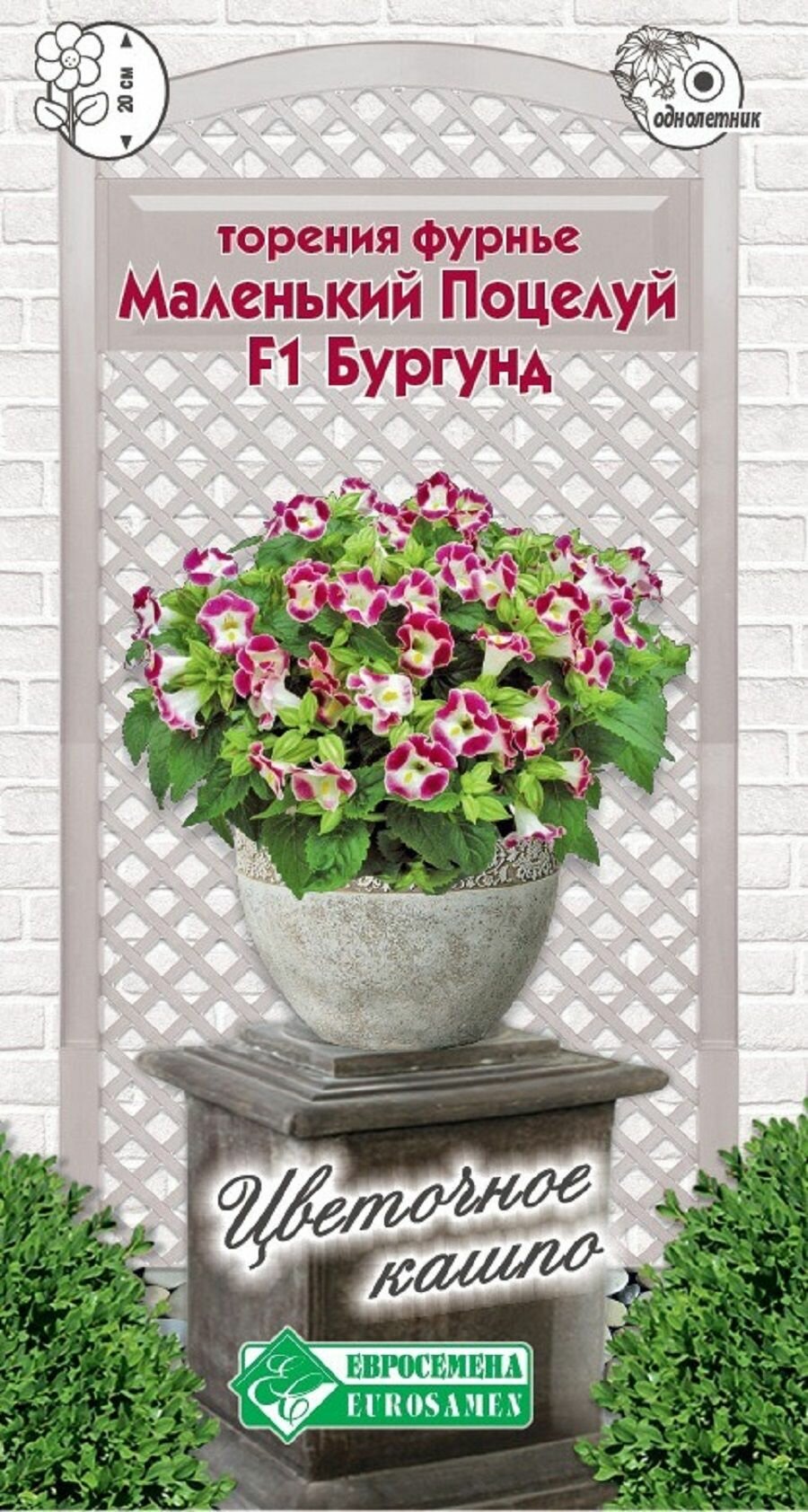 Торения Фурнье маленький поцелуй бургунд F1 3 драже /Евросемена